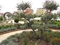 Elitonia Gardens