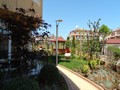 Elitonia Gardens 2